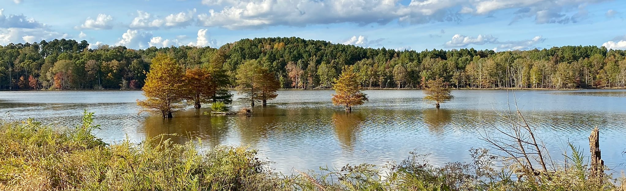 Falls Lake Trail Baptist Road - EyJidWNrZXQiOiJhc3NldHMuYWxsdHJhaWxzLmNvbSIsImtleSI6InVwbG9hZHMvcGhvdG8vaW1hZ2UvMzA4NzUzNzAvZjg0YWEwMzdlMzAzMTY5NDBhNGExNDdiMzU4ZmMwOWMuanBnIiwiZWRpdHMiOnsidG9Gb3JtYXQiOiJqcGVnIiwicmVzaXplIjp7IndpZHRoIjoyMDQ0LCJoZWlnaHQiOjYyNCwiZml0IjoiY292ZXIifSwicm90YXRlIjpudWxsLCJqcGVnIjp7InRyZWxsaXNRdWFudGlzYXRpb24iOnRydWUsIm92ZXJzaG9vdERlcmluZ2luZyI6dHJ1ZSwib3B0aW1pc2VTY2FucyI6dHJ1ZSwicXVhbnRpc2F0aW9uVGFibGUiOjN9fX0=