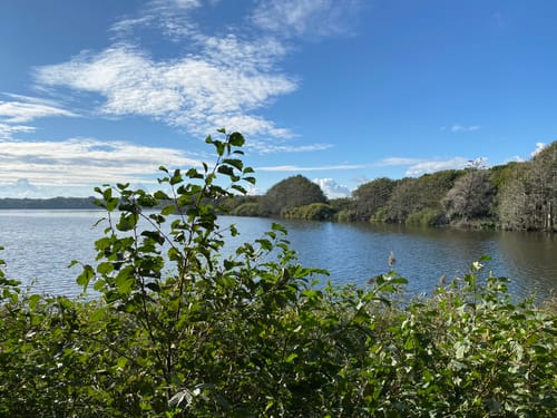 Rund um den Feisnecksee