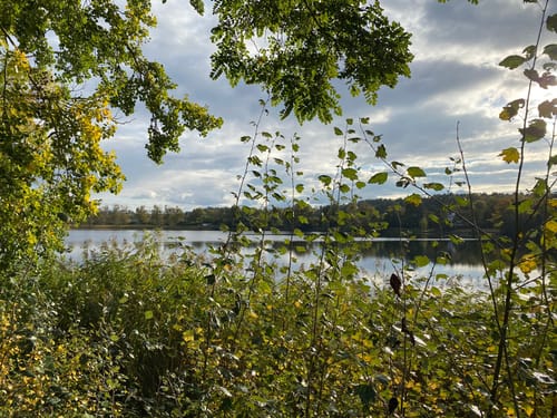 Rund um den Feisnecksee