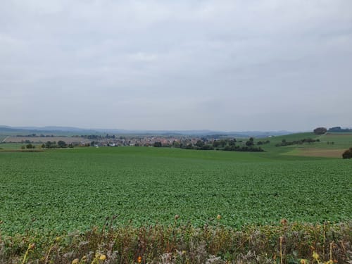 Rund um Konken