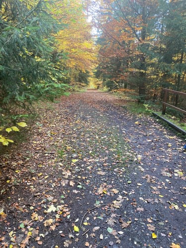 MTB Runde Hausen/Rhön