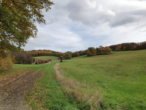 Runde bei Herchweiler