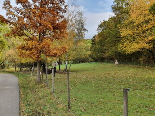 Runde bei Herchweiler
