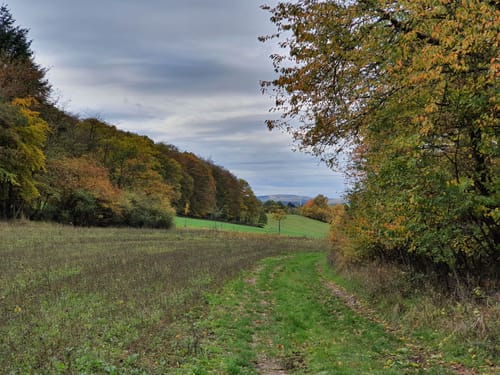 Runde bei Herchweiler