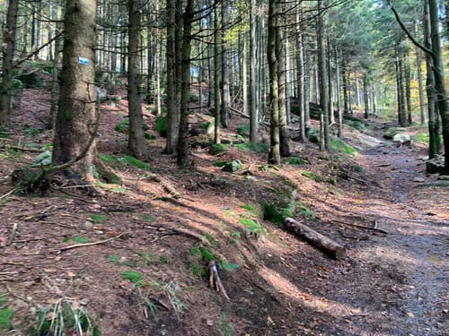 Ochsenkopfweg