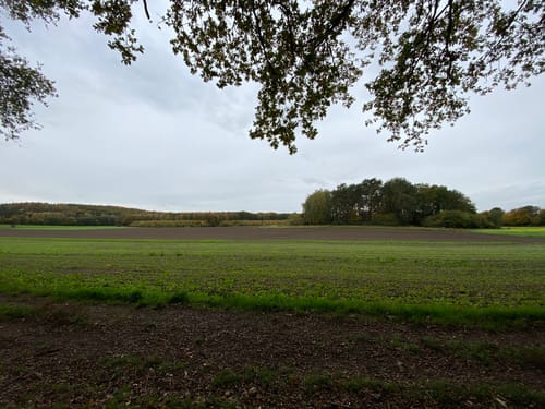 Die Haard - Römerweg Nr.43