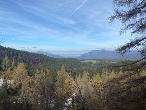 Almgenuss (Premiumwanderweg)