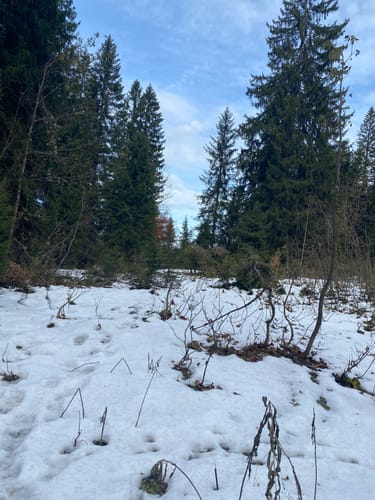 Almgenuss (Premiumwanderweg)
