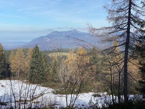 Almgenuss (Premiumwanderweg)