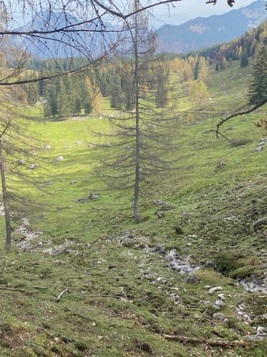 Almgenuss (Premiumwanderweg)