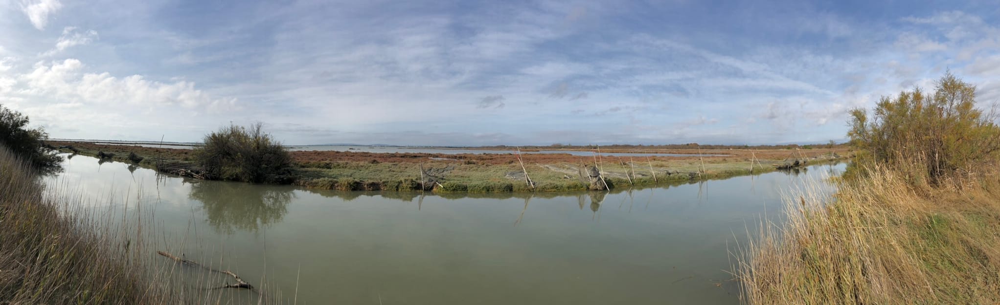 Mauguio Étang de l'Or 24 Fotos Hérault, Frankreich AllTrails