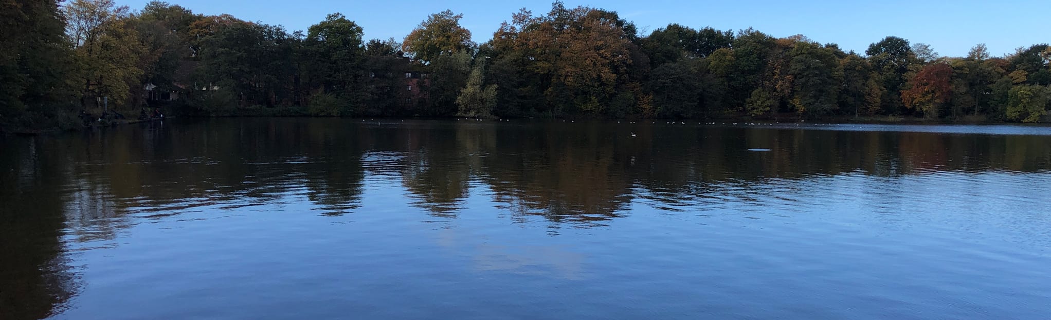 Sankey Valley Park, Merseyside, England - 38 Reviews, Map | AllTrails