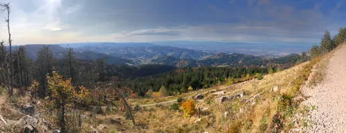 Best walks hotsell in black forest