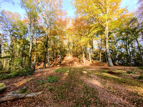 Bärensteig (Premiumwanderweg)