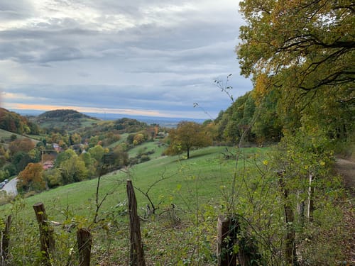 Mountainbike-Rundstrecke Heppenheim HP1