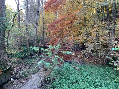 Von Herrsching zum Kloster Andechs
