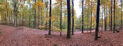 Mountainbike-Rundstrecke Heppenheim HP1
