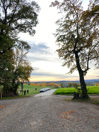 Nord-Süd-Marathon
