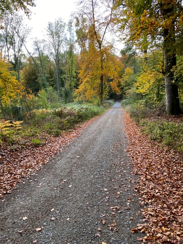 Nord-Süd-Marathon