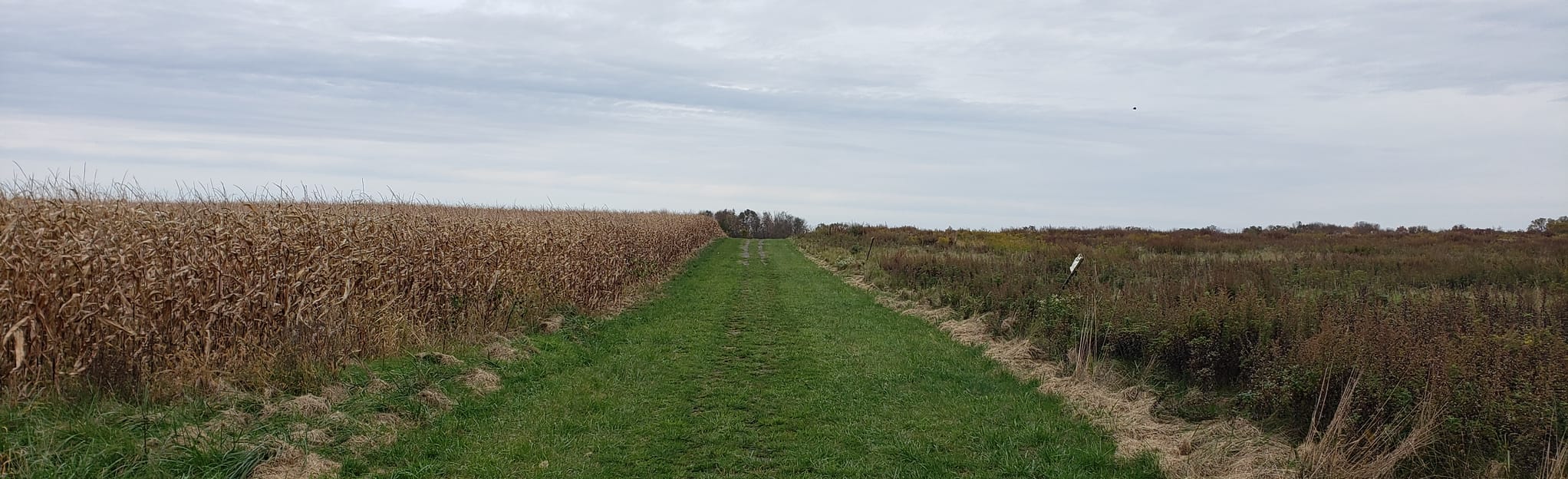 Cherry Brook Preserve Trails, New Jersey 102 Reviews, Map AllTrails