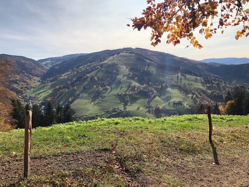 Gieshübel - Köhler - St. Ulrich