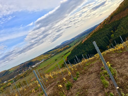Winchendeller Weiher