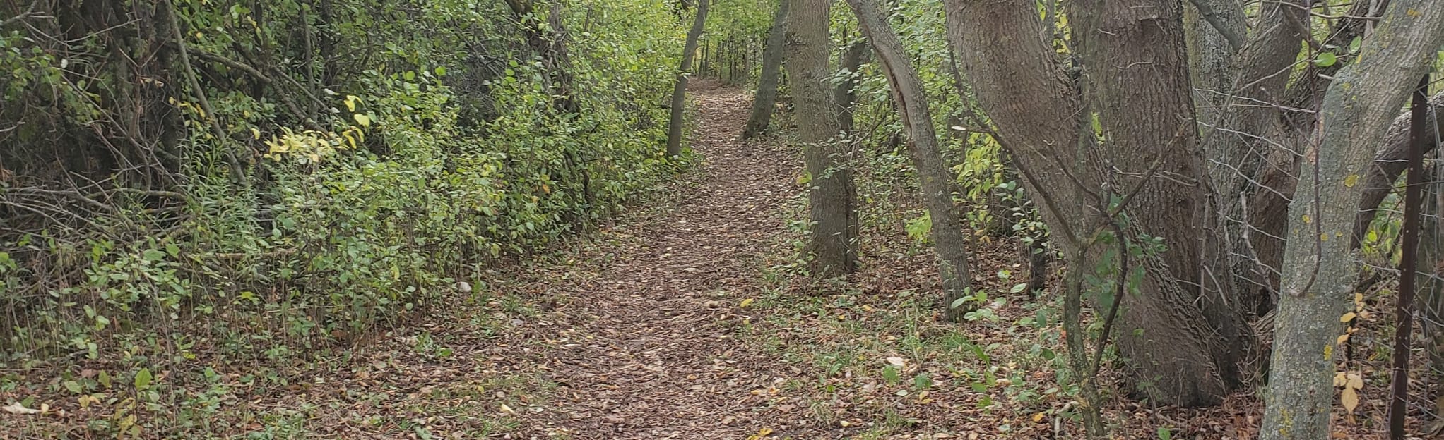 Grand Valley Trail Bloomingdale Map, Guide Ontario, Canada AllTrails
