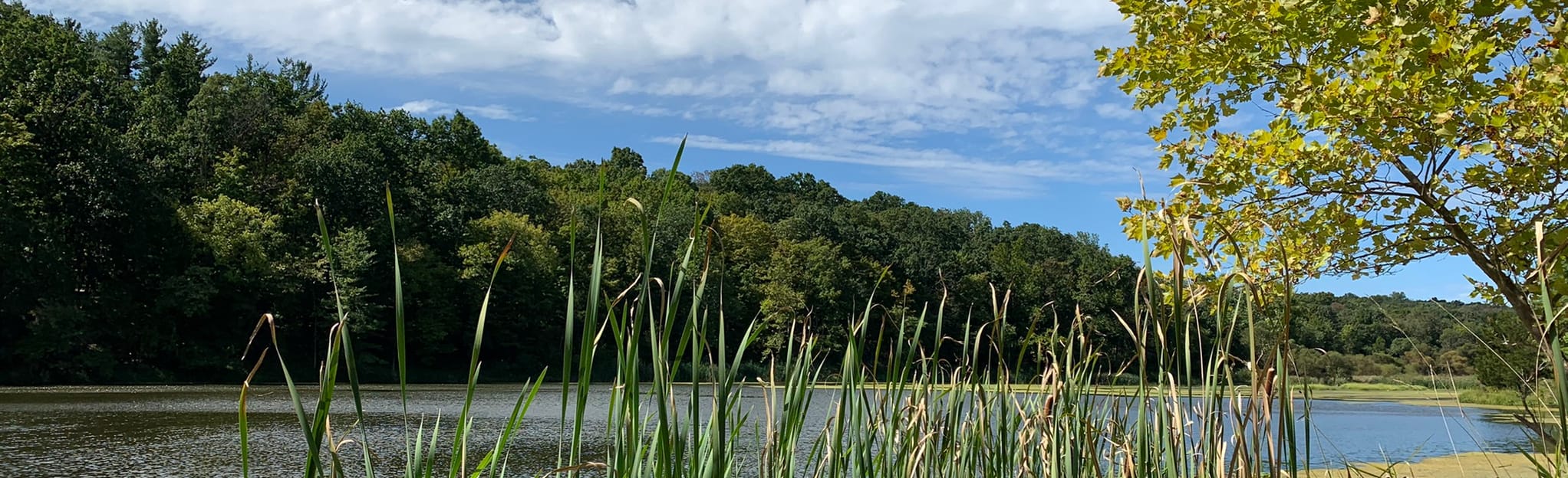 Washington Valley White, Blue and Orange Trail 569 Reviews, Map New