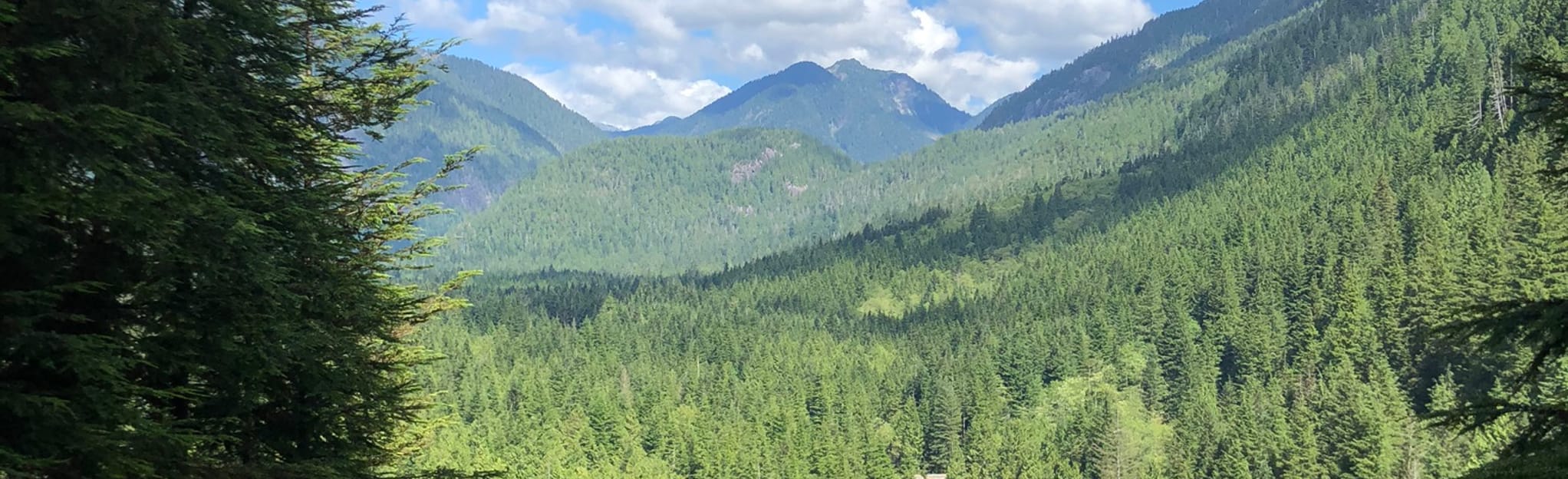 Alder Flats via West Canyon Trail, British Columbia, Canada 654