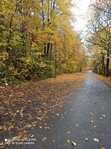 Claus-Eichel-Weg