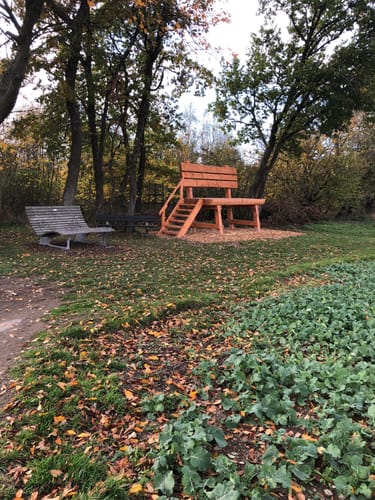 Kirchspiels Tälertour (Moselsteig Seitensprung)