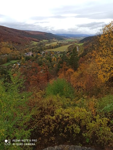 Claus-Eichel-Weg