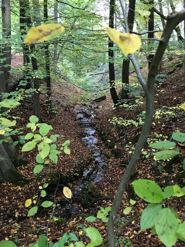 Rundweg über die Volmehöhen