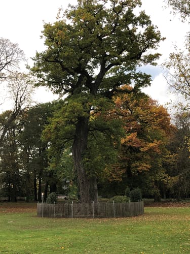 Hannover: Tiergarten in Kirchrode