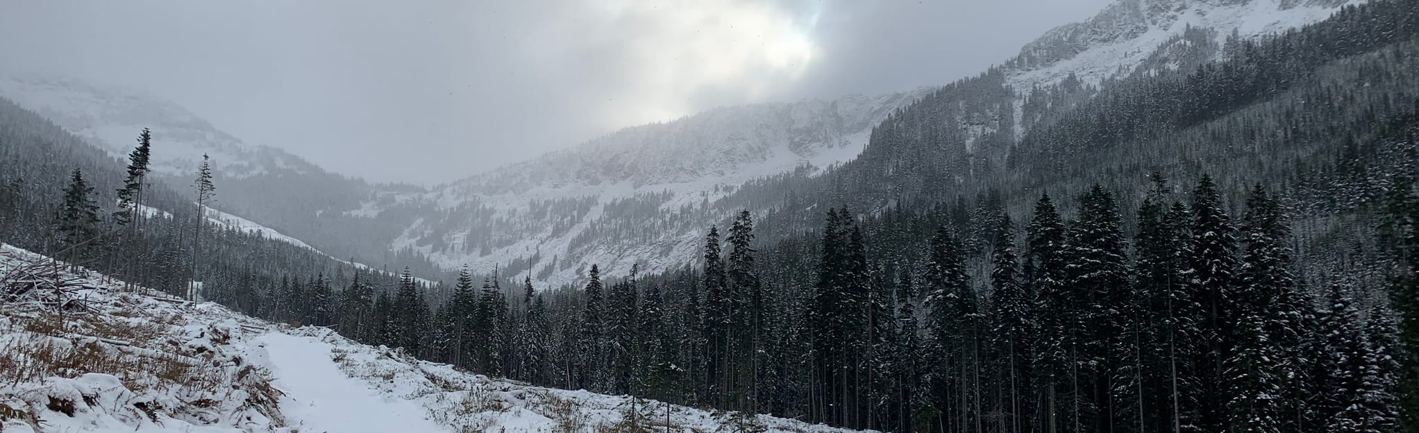 Johnson Peak Trail British Columbia, Canada AllTrails