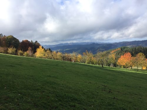 Harmersbacher Vesperweg (Genießerpfad)