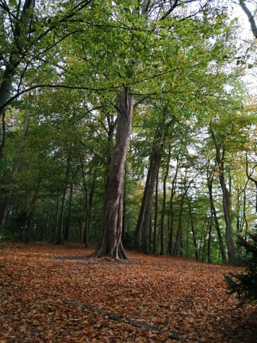 An der Schwentine in Preetz