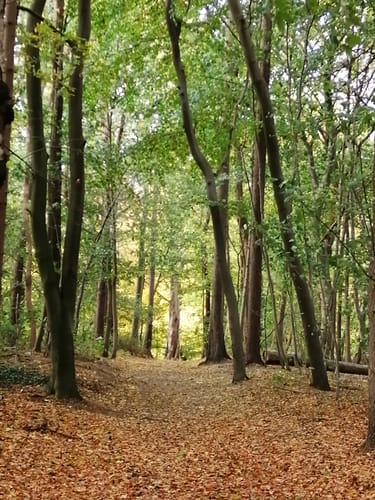An der Schwentine in Preetz