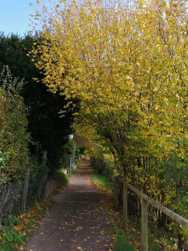 An der Schwentine in Preetz