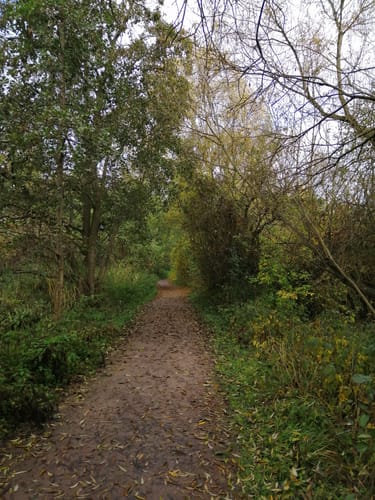 An der Schwentine in Preetz