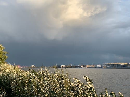 Blankenese - Hirschpark
