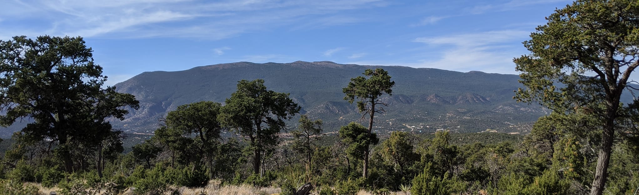 Cedro Peak OHV Trail 256 Reviews, Map New Mexico AllTrails