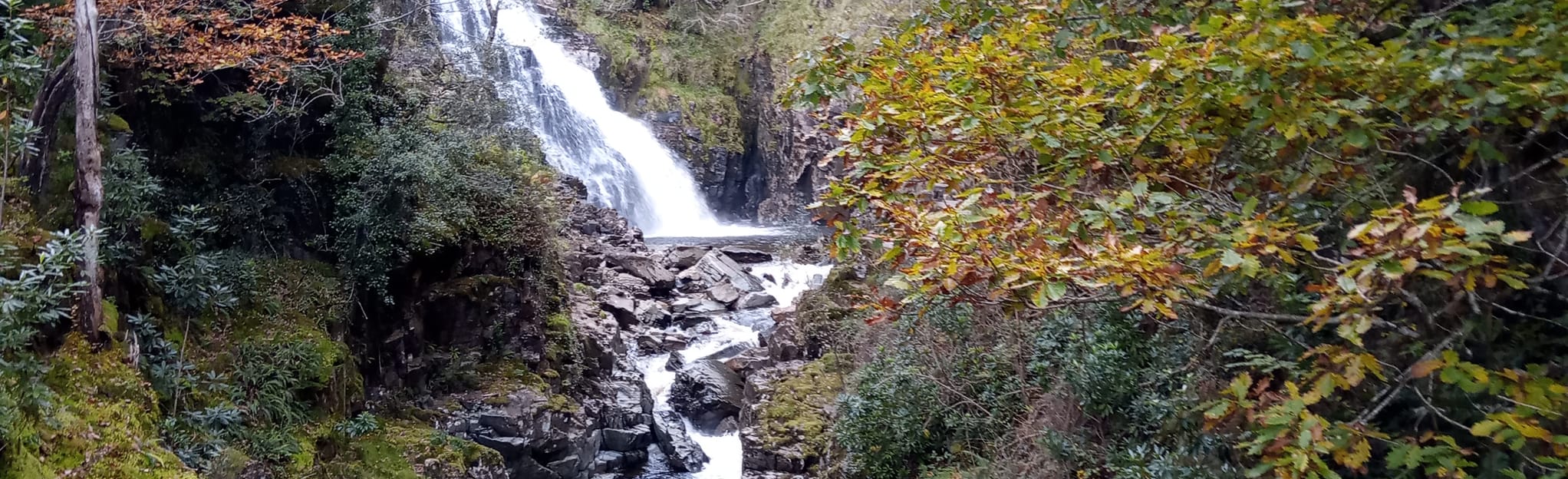 Coed y Brenin Circular 74 Reviews, 183 Photos, Map Gwynedd, Wales