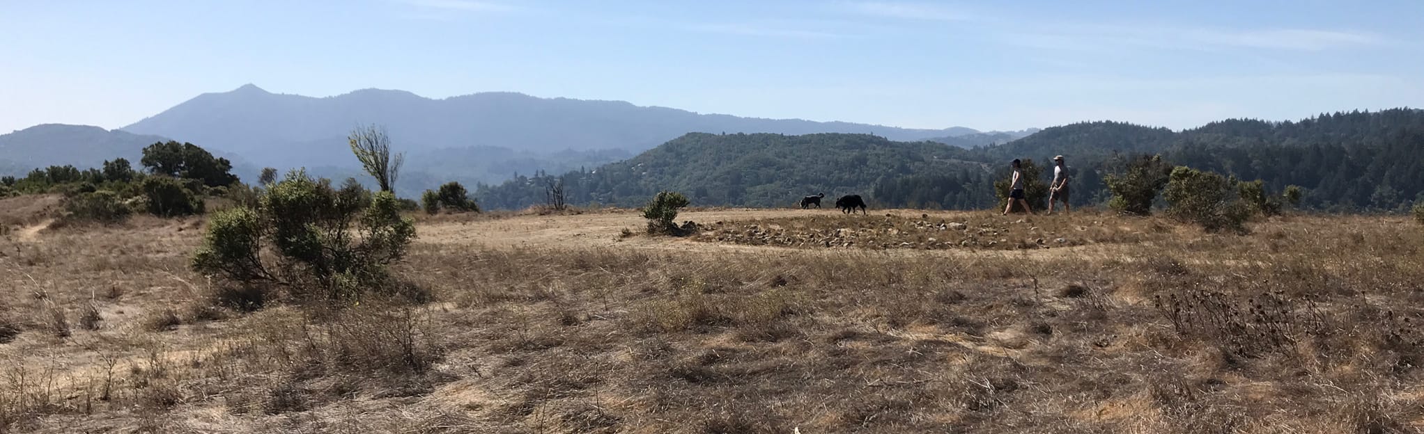 Oak Manor Labyrinth, California - 122 Reviews, Map | AllTrails