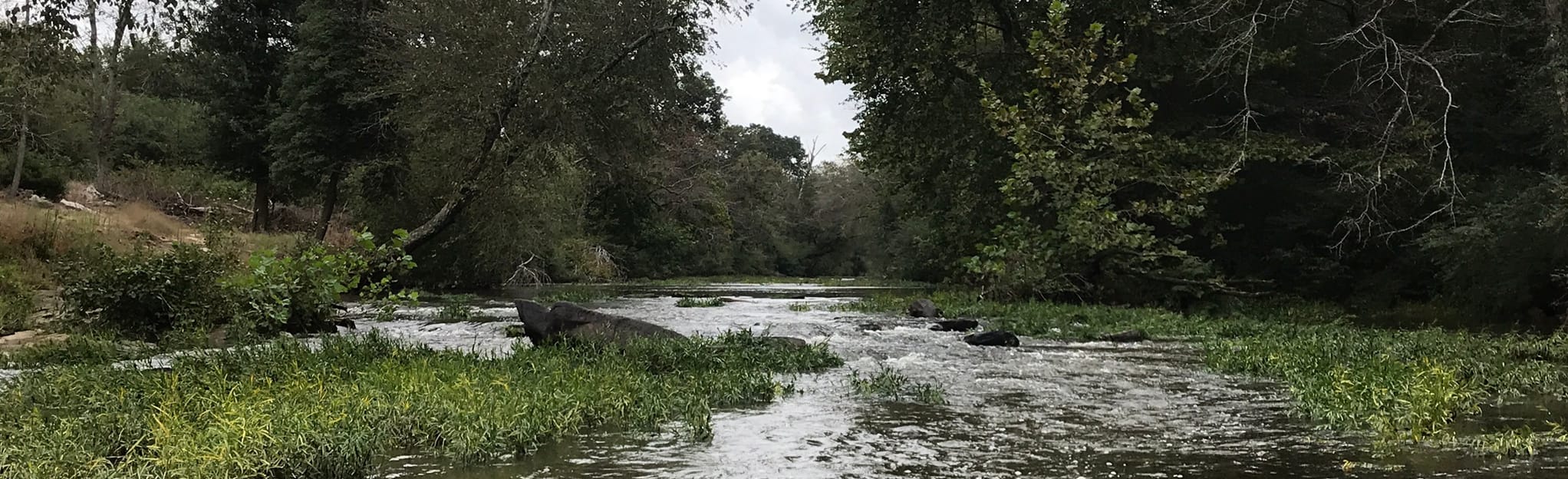 Town Creek Paddle, Alabama 4 Reviews, Map AllTrails