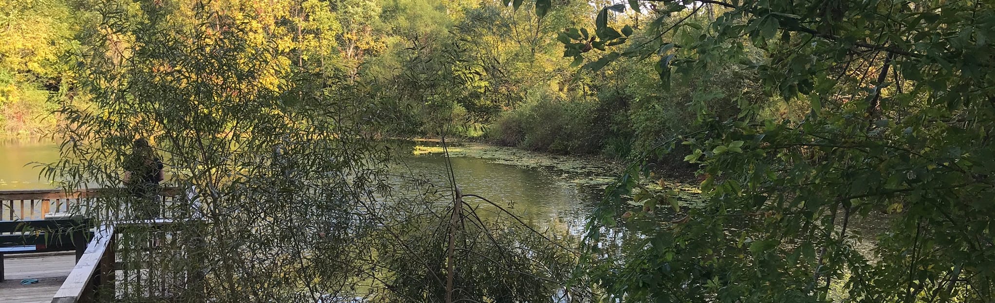 Pond, Overlook, and Woodland Loop 47 Reviews, Map Ohio AllTrails