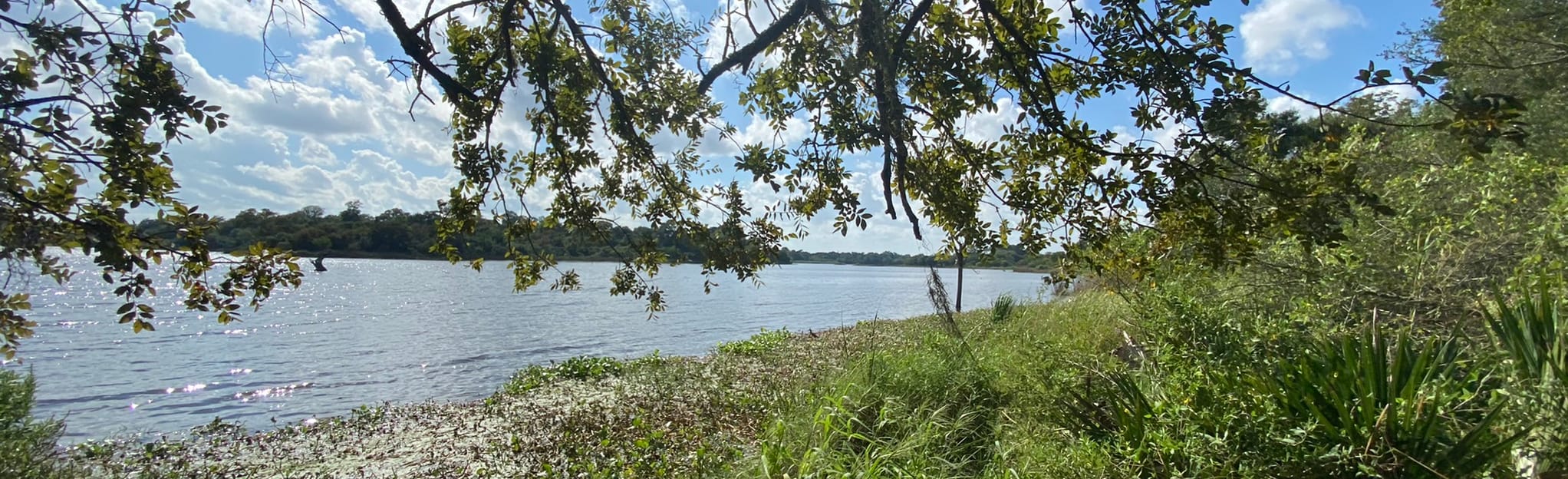 Armand Bayou Martyn Trail Loop, Texas 12 Reviews, Map AllTrails