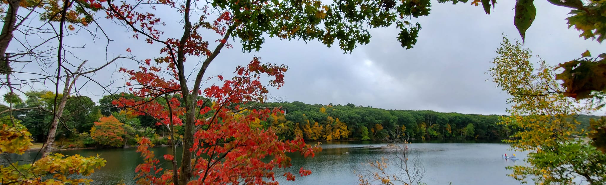 Upper Pond MTB Loop, Rhode Island 371 Reviews, Map AllTrails