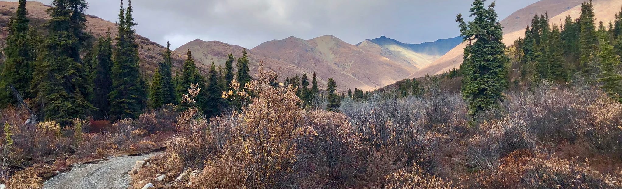 Caribou Creek Trail 44 Reviews, Map Alaska AllTrails