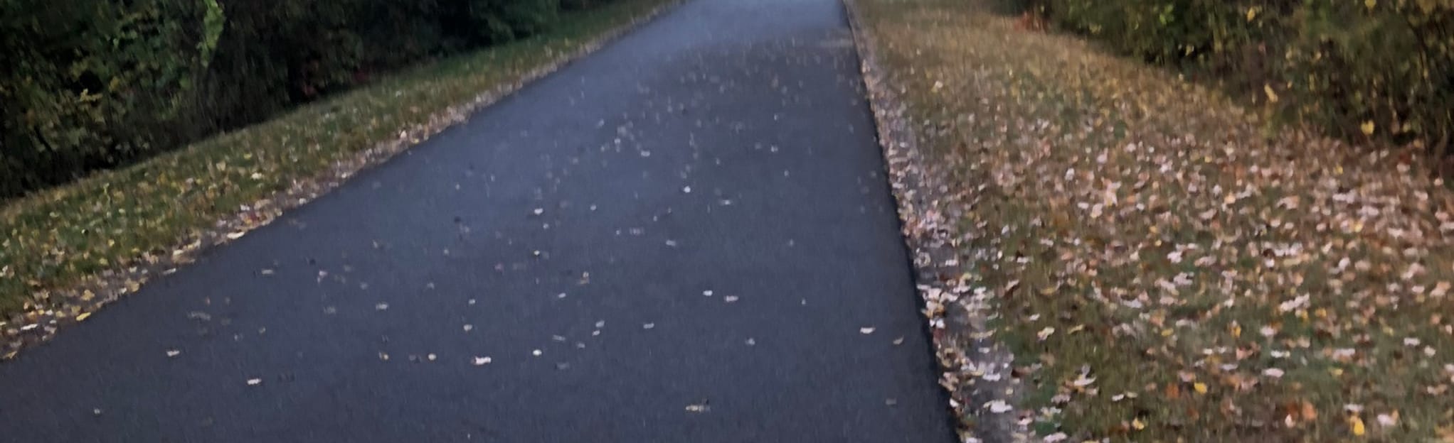 Vestal Rail Trail, New York 243 Reviews, Map AllTrails